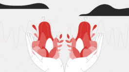 Illustration aus einem Erklärvideo von Humify, produziert von M'splain. Im 2D-Animationsstyle gestaltetes Video mit kreativer, grafischer Darstellung der steigenden Produktion von Nahrungspflanzen. 