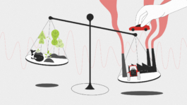 Illustration aus einem Erklärvideo von Humify, produziert von M'splain. Im 2D-Animationsstyle erstelltes Video, inklusive Tieranimation zum Thema Bindung von Kohlenstoffdioxid. 