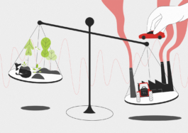 Illustriertes Thumbnail für ein Erklärvideo von Humify, produziert von M'splain. Im 2D-Animationsstyle erstelltes Video, inklusive Tieranimation zum Thema Bindung von Kohlenstoffdioxid. 
